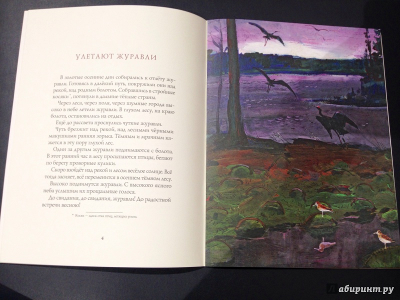 Иллюстрация 9 из 13 для Осень в лесу - Иван Соколов-Микитов | Лабиринт - книги. Источник: Псевдоним