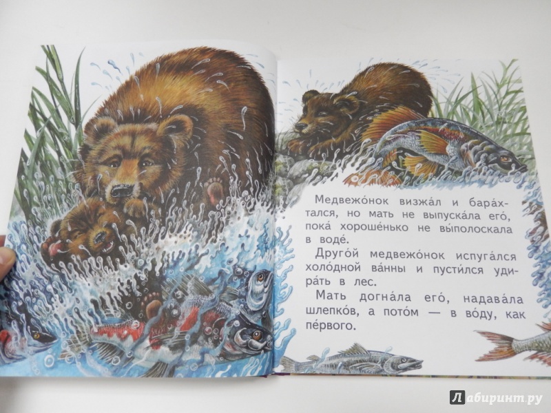 Иллюстрация 15 из 35 для Мастера без топора - Виталий Бианки | Лабиринт - книги. Источник: dbyyb