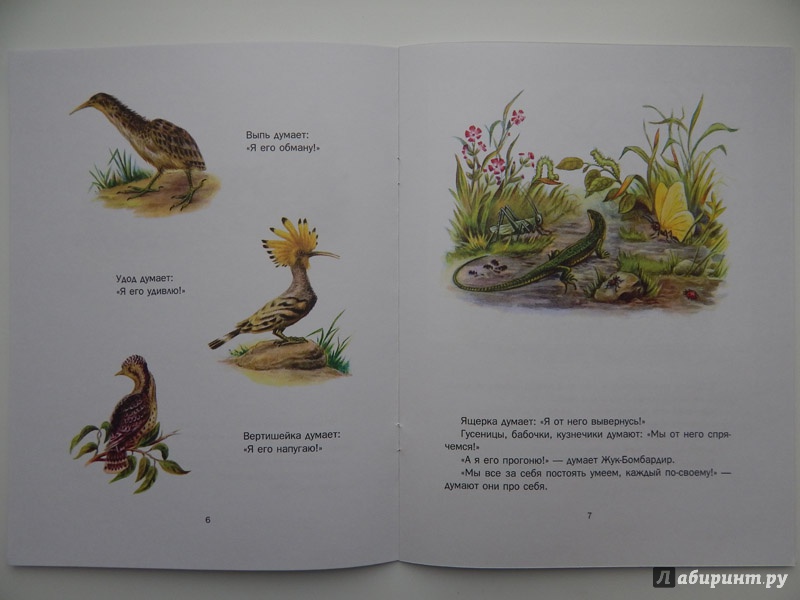 Иллюстрация 15 из 58 для Первая охота - Виталий Бианки | Лабиринт - книги. Источник: Мелкова  Оксана