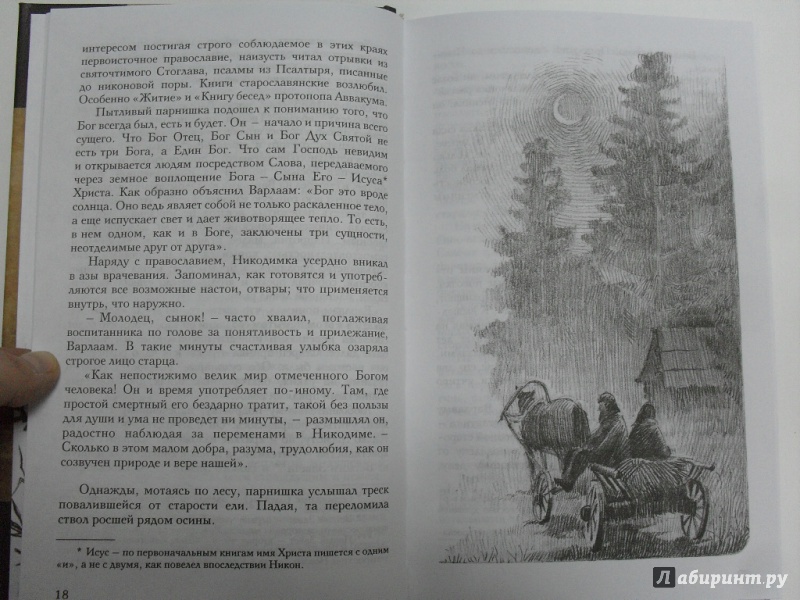 Иллюстрация 9 из 9 для Золото Алдана - Камиль Зиганшин | Лабиринт - книги. Источник: dbyyb