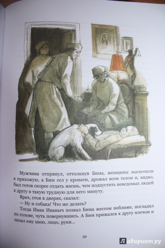 Иллюстрация 76 из 113 для Белый Бим Черное ухо - Гавриил Троепольский | Лабиринт - книги. Источник: Bradbury