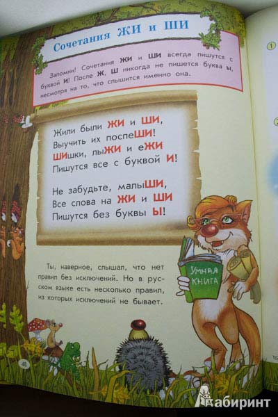 Иллюстрация 24 из 48 для Все правила русского языка для детей - Мария Фетисова | Лабиринт - книги. Источник: Wacomka