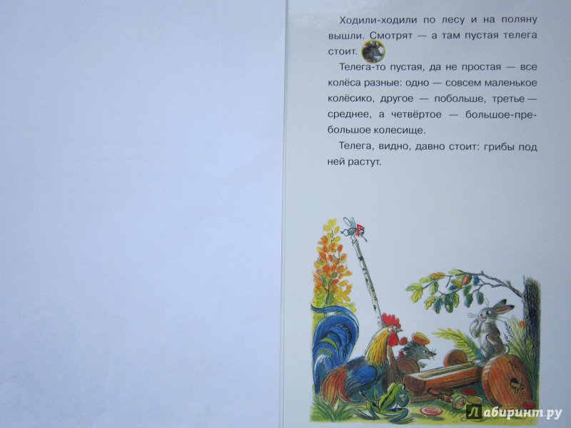 Иллюстрация 8 из 17 для Разные колеса - Владимир Сутеев | Лабиринт - книги. Источник: Кулыгина  Елена